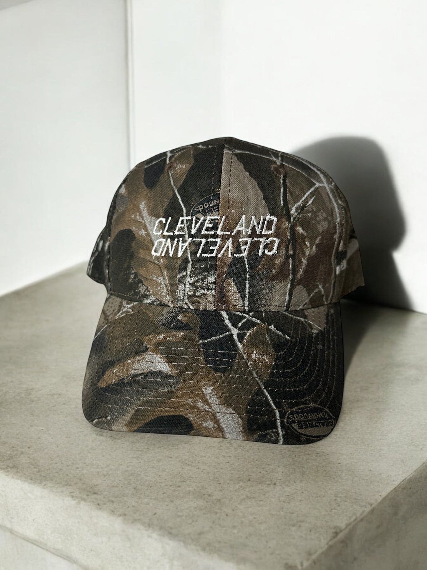 Camo Dad Hat